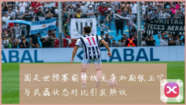 国足世预赛前锋线竞争加剧张玉宁与武磊状态对比引发热议